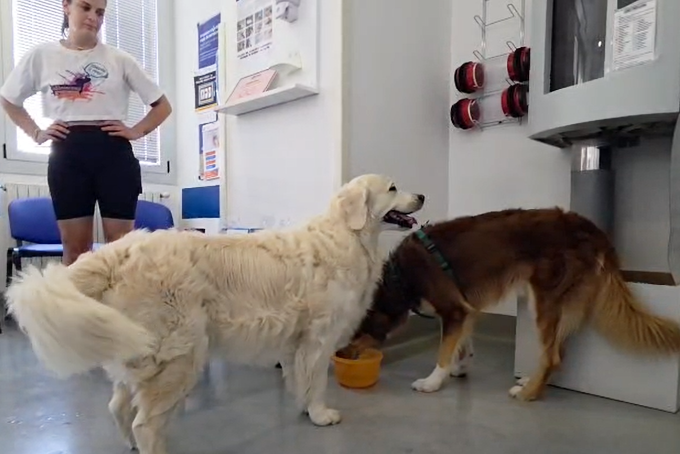 Pet Therapy 2026 Neurologia ISS Pet Therapy 2026 Neurologia ISS